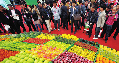 聚焦熱帶農(nóng)產(chǎn)品發(fā)展——國際熱帶農(nóng)產(chǎn)品冬季交易會即將開幕