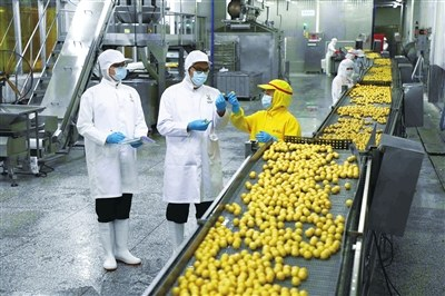 中國預制菜產業全面起航 賦能農業升級，打造舌尖上的新經濟