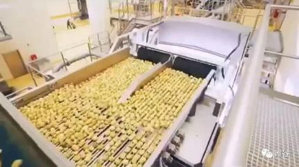 佳盛企智“共享工廠” 創新農產品深加工，引領產業新變革