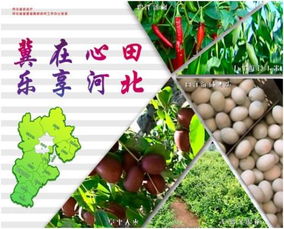 冀水躍金 河北農(nóng)業(yè)以特色水產(chǎn)品區(qū)域品牌助推產(chǎn)業(yè)升級